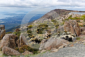 Blick vom  Mount Wellington auf Hobart,Tasmanien, Australien