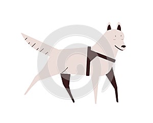 Blind dog flat vector illustration. Active running pet. Puppy with disability, illness concept. Domestic animal design