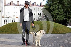 Blind man with cane and guide dog walking on pavement in town