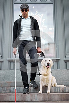 Blind man with disability walking down the stairs with a guide dog