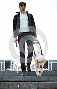 Blind man with disability walking down the stairs with a guide dog