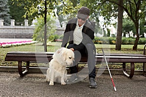 Blind man stroke his helpful dog guide