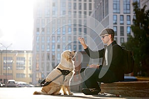 Blind man training golden retriever outdoors, giving obedience command