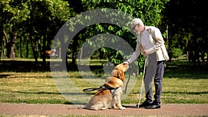 Blind man training guide dog in park, giving obedience commands, impairment