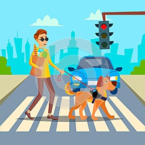 Blind Man Vector. Young Person With Pet Dog Helping Companion. Disability Socialization Concept. Blind Person And Guide photo