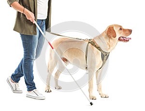 Blind mature woman with guide dog on white background