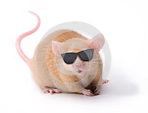 Slepý myš okuliare slnečné okuliare 