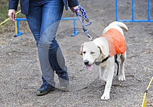 Blind person with her guide dog