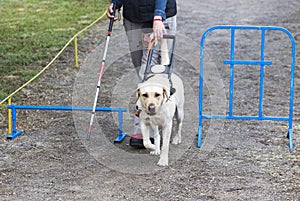 Blind person with her guide dog