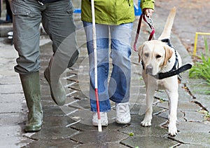 Blind person with her guide dog