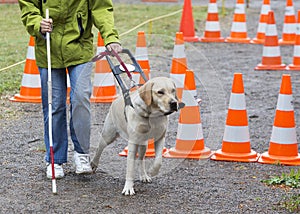 Blind person with her guide dog