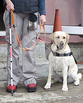 Blind person with her guide dog