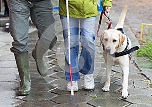 Slepý osoba jej sprievodca pes 