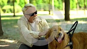 Blind senior man lovingly stroking guide dog, feeling gratitude for help, friend