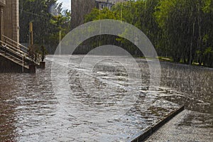 Blind summer downpour in the city