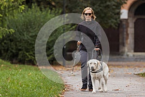 Blind woman in the company of a guide dog walking along a city park