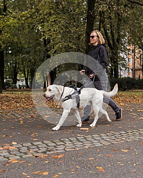 Blind woman in the company of a guide dog walking along a city park