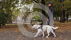 Blind woman taking a walk in a city park with her trained guide dog