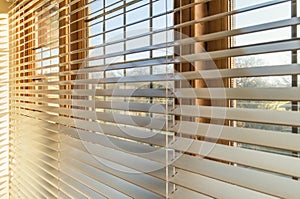 Blinds