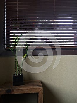 Blinds, bamboo and coffee table