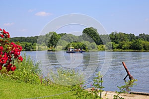 View on small passenger and bicycle ferry voet- en fietsveer on river maas in summer