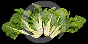 Blitva, chard leaves - popular leafy vegetables in Balkan cuisine. Isolated on black