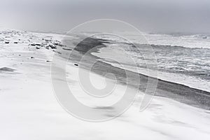 Blizzard on a beach of the Pacific ocean with black sand