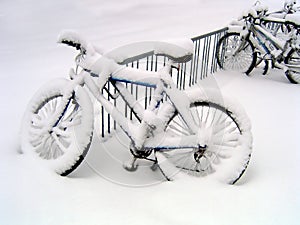 Blizzard Bikes photo