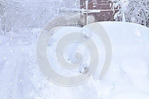 Blizzard in the City photo