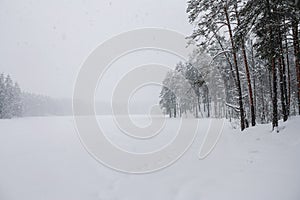 Blizzard day. Winter landscape
