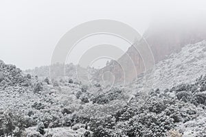 Blizzard at garden of the gods colorado springs rocky mountains during winter covered in snow