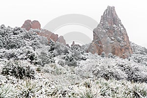 Blizzard at garden of the gods colorado springs rocky mountains during winter covered in snow