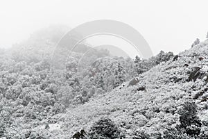 Blizzard at garden of the gods colorado springs rocky mountains during winter covered in snow