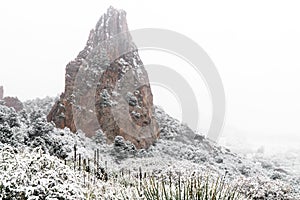 Blizzard at garden of the gods colorado springs rocky mountains during winter covered in snow