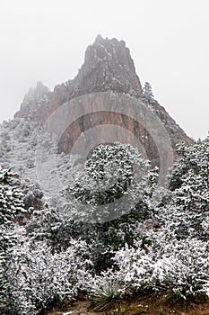 Blizzard at garden of the gods colorado springs rocky mountains during winter covered in snow