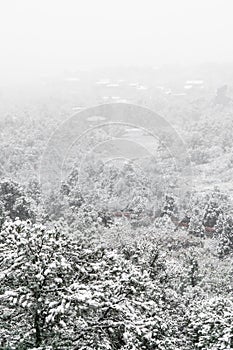 Blizzard at garden of the gods colorado springs rocky mountains during winter covered in snow