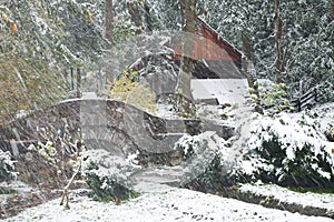 Blizzard over Bran Castle