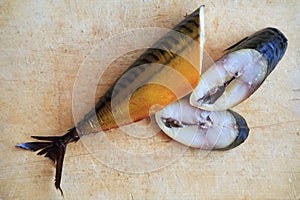 Bloated Fish photo