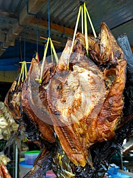 Bloater or salai fish