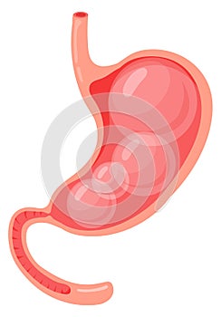 Bloating stomach cartoon icon. Digestive system problem