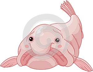 Blob Fish photo