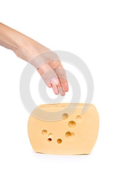 Block of cheese in hand isolated on white background