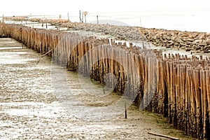 Block the coast, Bamboo wall in mangrove education center Samut Sakhon, Thailand