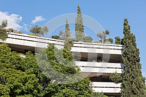 Block of flats in Athens - Trees and plants