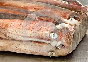 Block of frozen squid fresh from the ocean