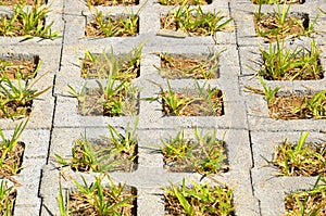 Block paved driveway