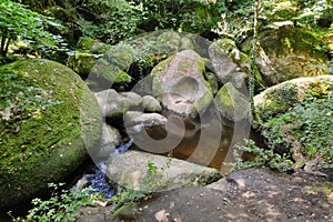 The Blockfield of the forest of Huelgoat