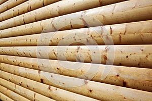 Blockhouse wall texture