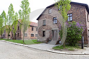 Blocks from the Auschwitz concentration camp photo