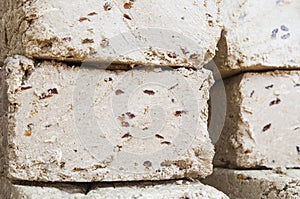 Blocks of halvah with raisins